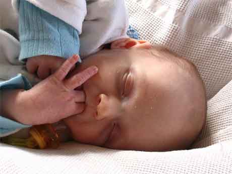 Dormir com a boca para cima causa deformidade craniana nos bebês, diz médico (Imagem:http://upload.wikimedia.org/wikipedia/commons/4/44/BabySuckingFingers.jpg) Dormir com a boca para cima causa deformidade craniana nos bebês, diz médico (Imagem:http://upload.wikimedia.org/wikipedia/commons/4/44/BabySuckingFingers.jpg)
