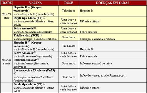 Calendário vacina adultos e idosos